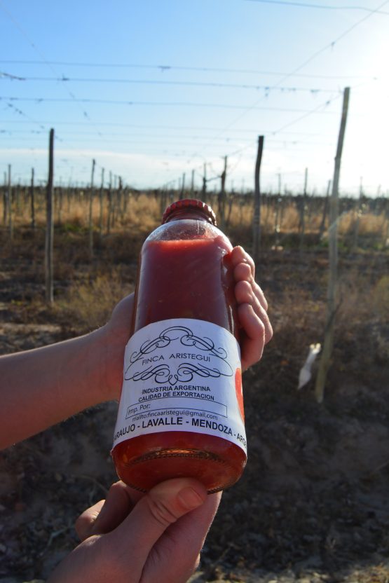Tomate Triturado